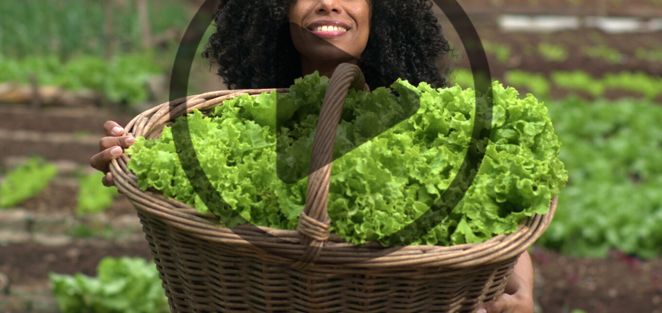 Urban Farming & Selling Microgreens – Mother Earth News - Vimarsana News